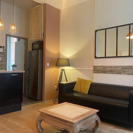 Appartement Cosy En Hyper Centre Τουλούζη Εξωτερικό φωτογραφία
