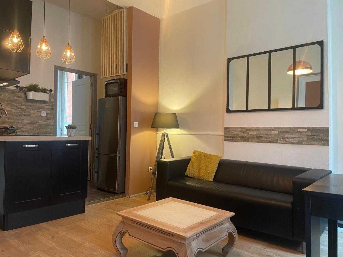 Appartement Cosy En Hyper Centre Τουλούζη Εξωτερικό φωτογραφία